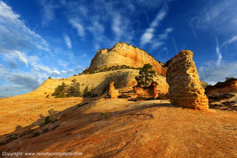 Mount Carmel Highway Zion National Park Utah USA