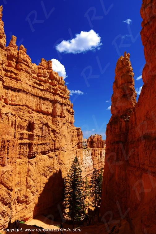 Queen Garden Trail Bryce Canyon National Park Utah USA