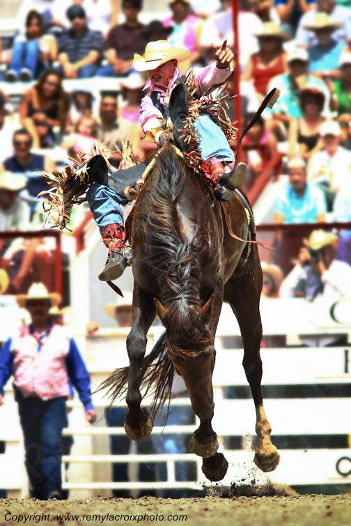 Rodeo Cheyenne Frontier Days Wyoming USA www.remylacroixphoto.com