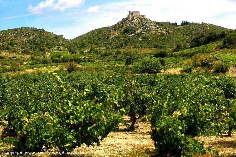 Aguilar Ch�teau Cathare Haut-Fitou Corbi�res vignoble Aude Occitanie France www.remylacroixphoto.com