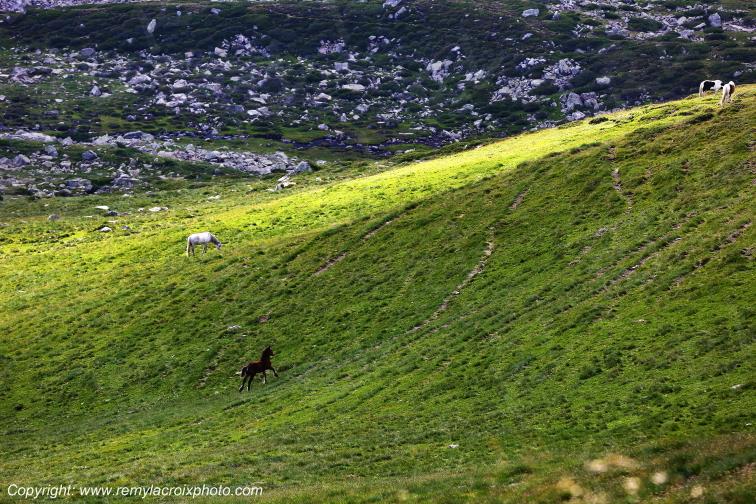 Col de Puymorens Pyr�n�es Orientales Occitanie Languedoc Roussillon France www.remylacroixphoto.com