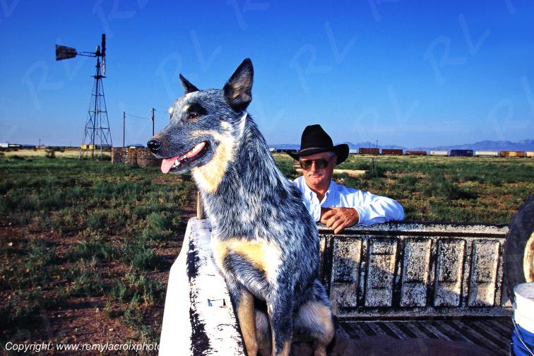 Big Bend Country Allen Antelope Valley Ranch Texas USA www.remylacroixphoto.com