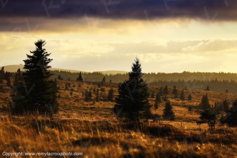 Gazon du Faing Route des Cr�tes Vosges Lorraine Grand-Est France www.remylacroixphoto.com