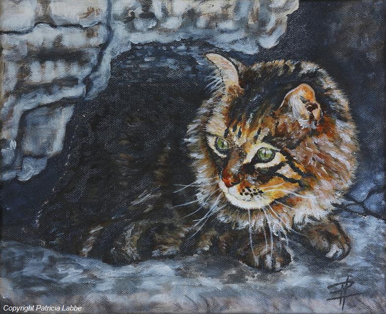 Chat tigr� craintif jouant � cache-cache sous les rochers - Huile sur toile - Format 30x25 cm