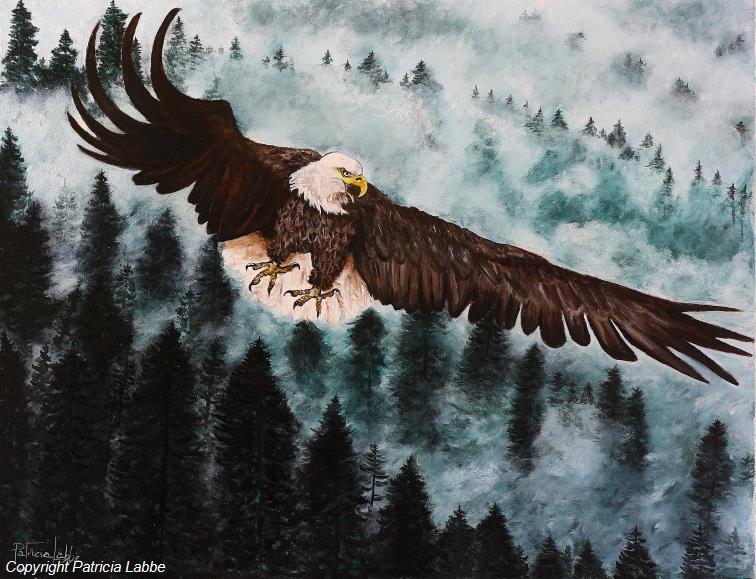 Le pygargue � t�te blanche - Huile sur toile - Format 65x50 cm