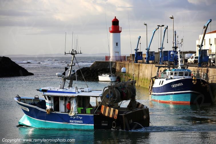 Ol�ron Ile Port de la Cotini�re Charente Maritime Poitou Charentes Nouvelle Aquitaine France www.remylacroixphoto.com