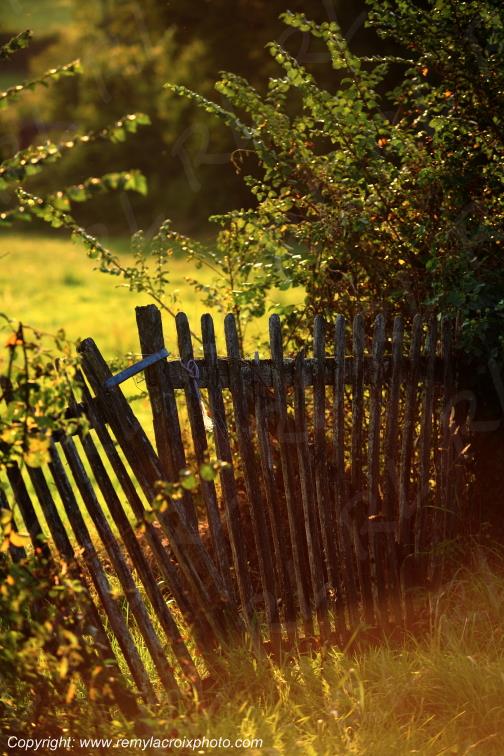 Lys Saint Georges Indre Berry Centre Val de Loire France