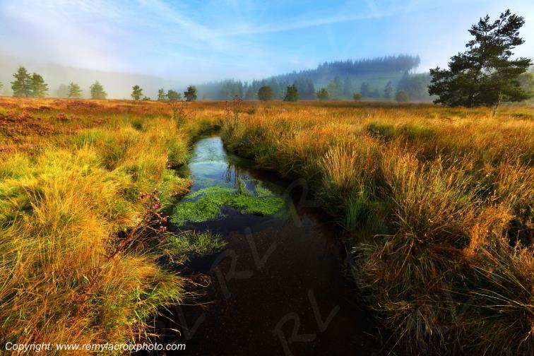 Tourbi�re du Long�roux plateau de Millevaches Corr�ze Limousin France