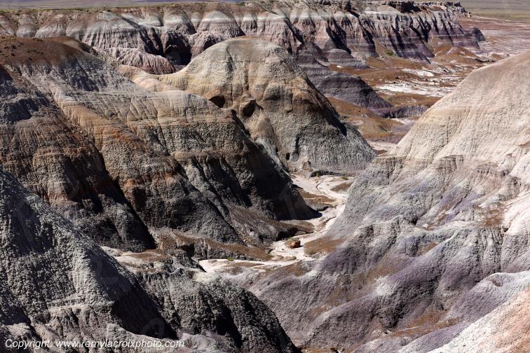 Blue Mesa Petrified Forest National Park Arizona USA