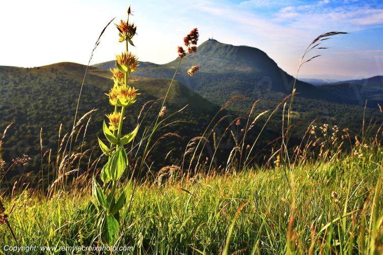 Puy de D�me Auvergne Rh�ne-Alpes France www.remylacroixphoto.com