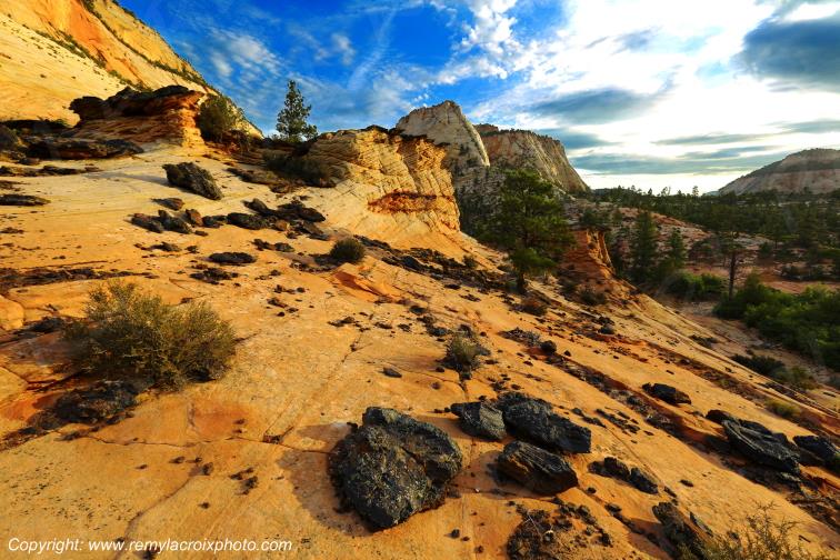 Mount Carmel Highway Zion National Park Utah USA