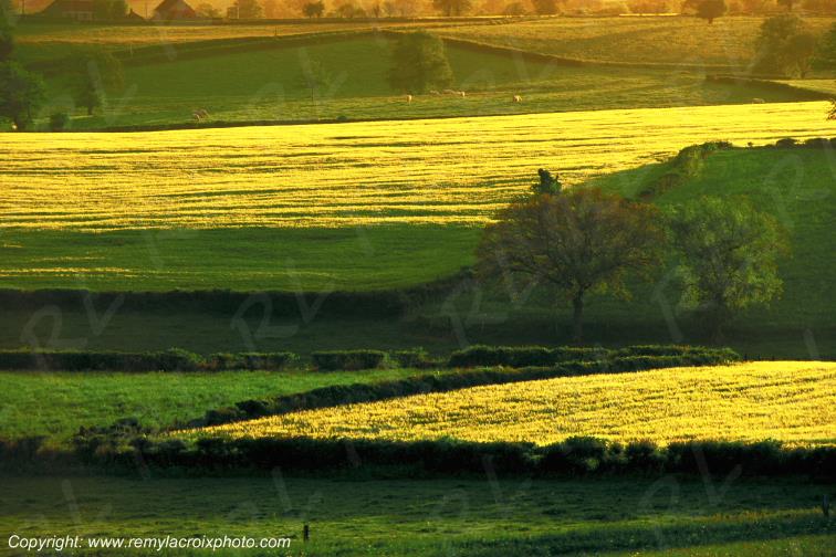 Le Vilhain Tron�ais Allier Auvergne France
