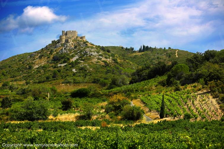 Aguilar Ch�teau Cathare Haut-Fitou Corbi�res vignoble Aude Occitanie France www.remylacroixphoto.com