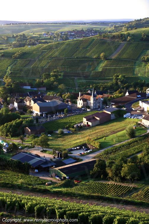 Chavignol vignoble Sancerrois Cher Berry Centre Val de Loire France