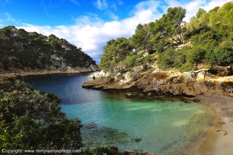 Calanque de Port-Pin Bouches du Rh�ne Provence Alpes C�te d'Azur PACA France www.remylacroixphoto.com
