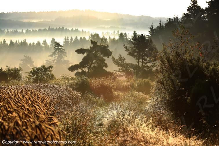 Medeyrolles Livradois Forez Puy de D�me Auvergne Rh�ne-Alpes France www.remylacroixphoto.com