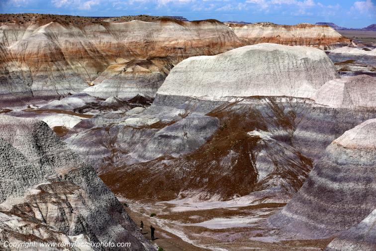Blue Mesa Petrified Forest National Park Arizona USA