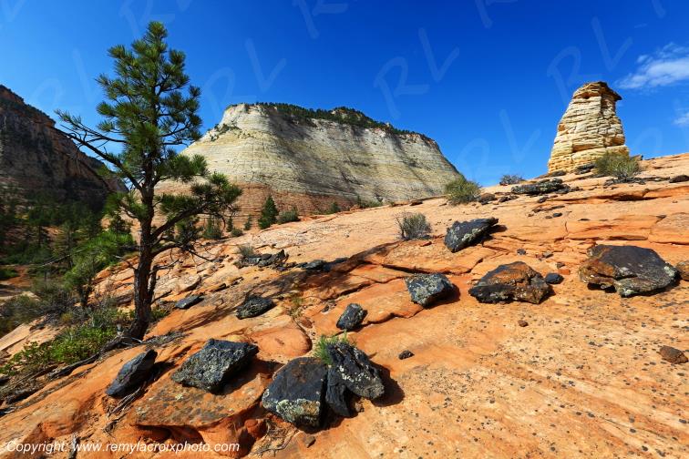 Mount Carmel Highway Zion National Park Utah USA