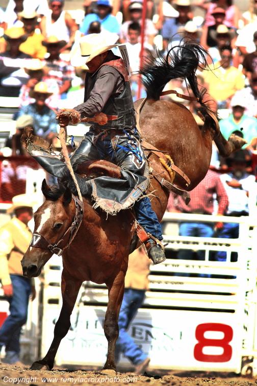 Rodeo Cheyenne Frontier Days Wyoming USA www.remylacroixphoto.com
