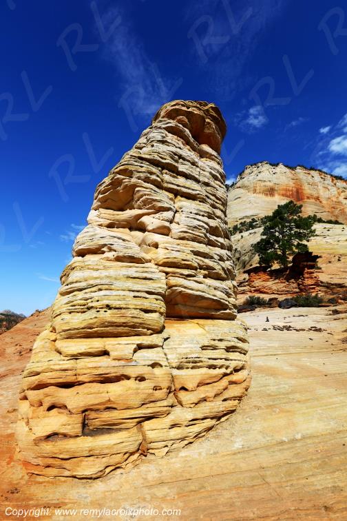 Mount Carmel Highway Zion National Park Utah USA