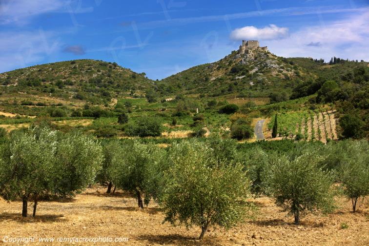 Aguilar Ch�teau Cathare Haut-Fitou Corbi�res vignoble Aude Occitanie France www.remylacroixphoto.com