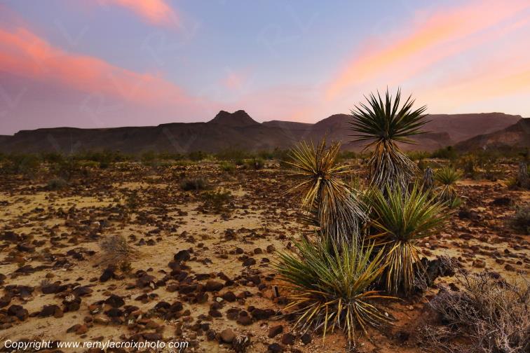Mojave desert Sitgreaves Pass Route 66 Mother Road Arizona USA www.remylacroixphoto.com