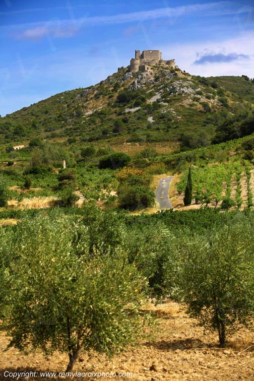 Aguilar Ch�teau Cathare Haut-Fitou Corbi�res vignoble Aude Occitanie France www.remylacroixphoto.com
