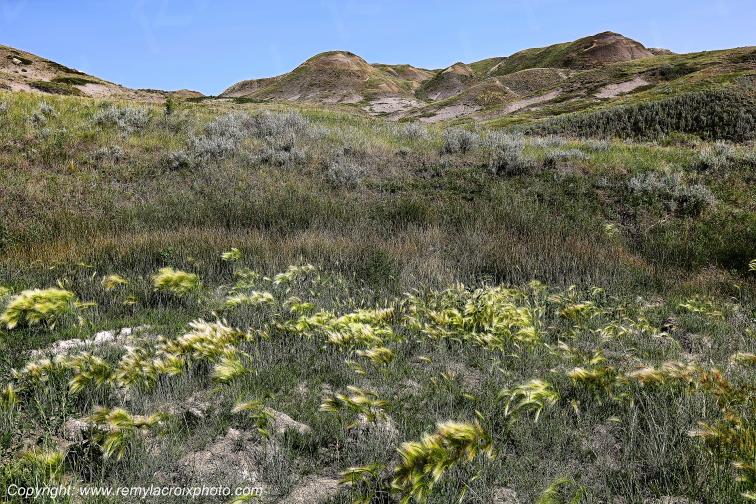 Grasslands National Park West Great Plains Grandes Plaines Saskatchewan Canada www.remylacroixphoto.com