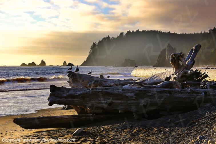 Rialto Beach Olympic National Park Washington USA www.remylacroixphoto.com