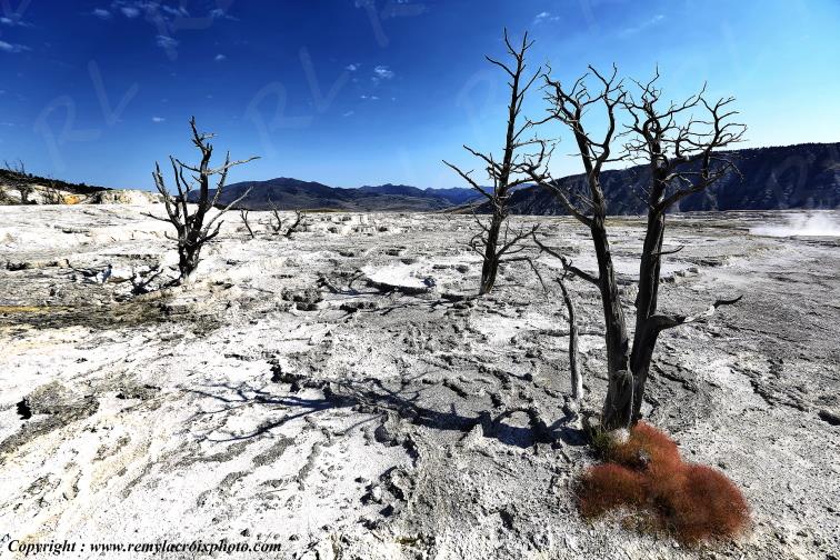 Mammoth Hot Springs Yellowstone National Park Wyoming USA www.remylacroixphoto.com