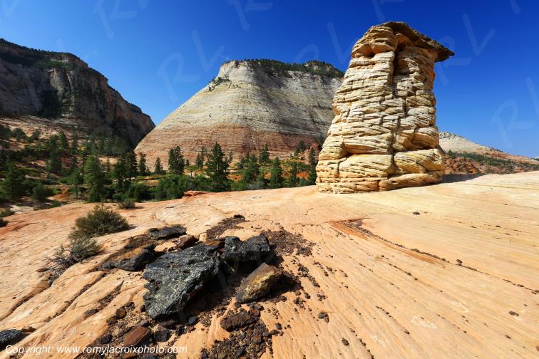 Mount Carmel Highway Zion National Park Utah USA