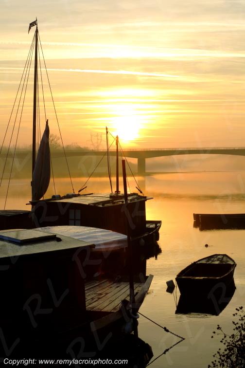Candes Saint Martin la Vienne Indre et Loire Centre Val de Loire France