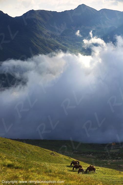 Col de Puymorens Pyr�n�es Orientales Occitanie Languedoc Roussillon France www.remylacroixphoto.com