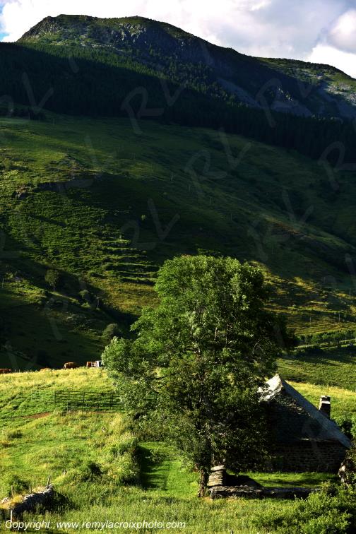 Mont Mezenc Ard�che Rh�ne Alpes France