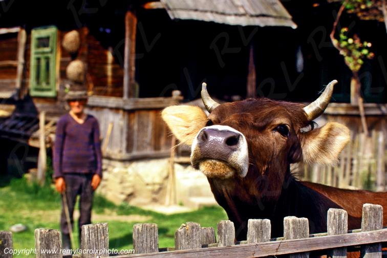 Bogdan Voda Maramures Romania Roumanie www.remylacroixphoto.com
