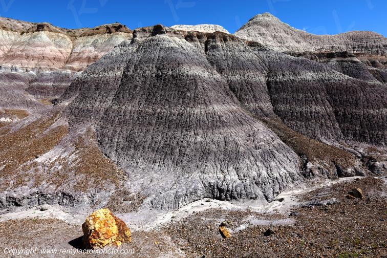 Blue Mesa Petrified Forest National Park Arizona USA