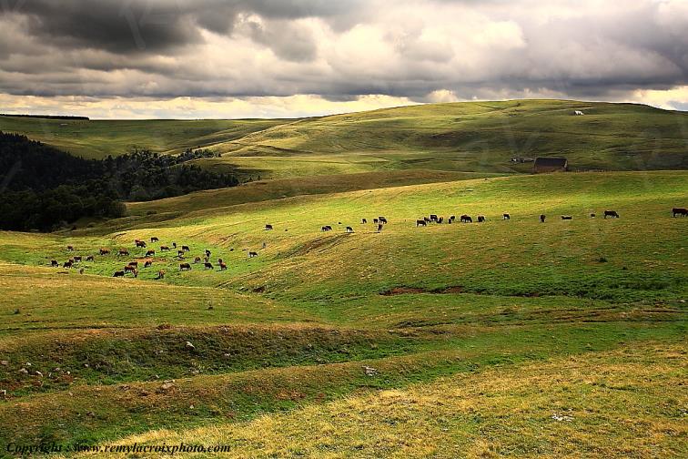 C�zallier La Terrisse Cantal Auvergne Rh�ne-Alpes France