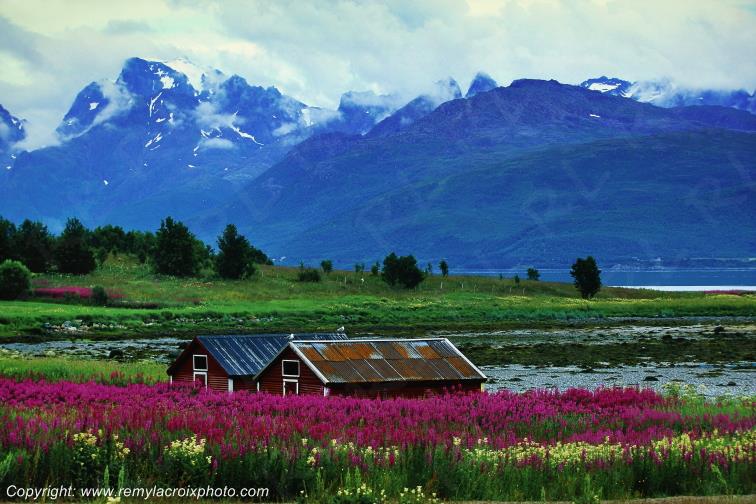 Vesteralen Island Nordland Norv�ge Norway www.remylacroixphoto.com