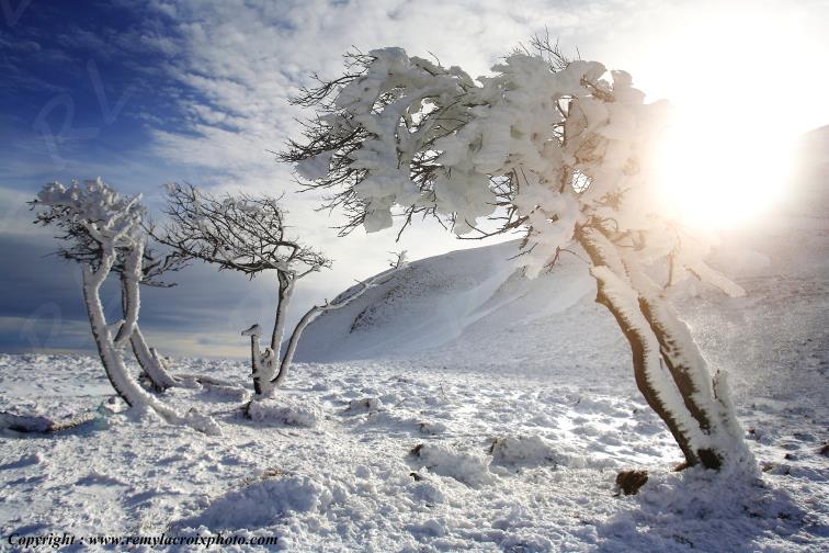 Col de la Croix Morand Puy de D�me Auvergne Rh�ne-Alpes France www.remylacroixphoto.com