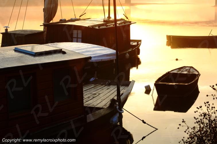 Candes Saint Martin la Vienne Indre et Loire Centre Val de Loire France