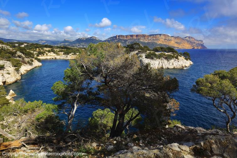 Port-Miou Parc National des Calanques Cassis Bouches du Rh�ne Provence Alpes C�te d'Azur France PACA www.remylacroixphoto.com