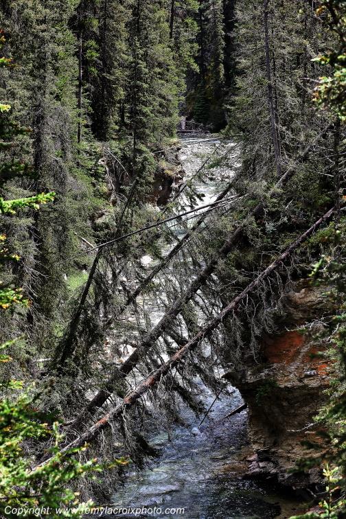 Johnston Canyon Banff National Park Alberta Canada www.remylacroixphoto.com
