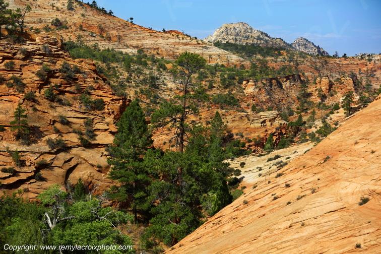 Mount Carmel Highway Zion National Park Utah USA