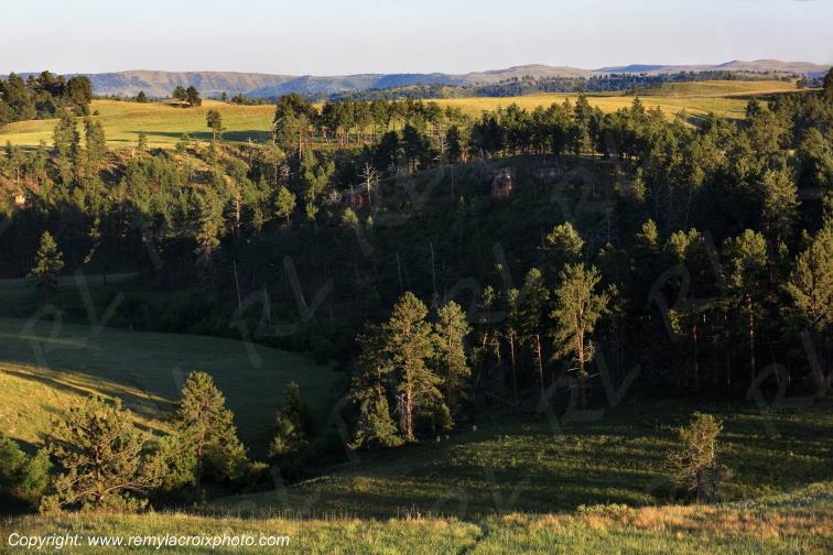 Wind Cave National Black Hills Park South Dakota USA
