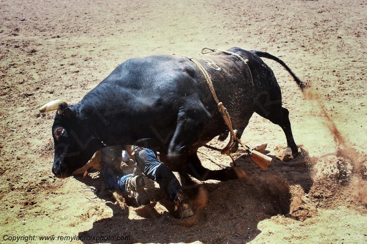 Rodeo Cheyenne Frontier Days bull-riding Wyoming USA www.remylacroixphoto.com