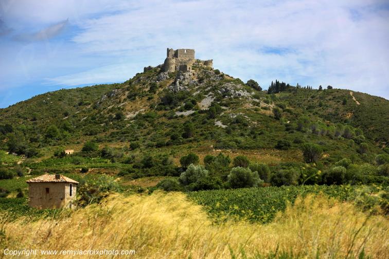 Ch�teau Cathare d'Aguilar vignoble du Haut-Fitou Corbi�res Aude France