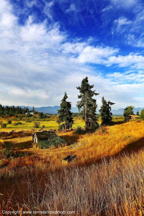 Dungeness Washington USA www.remylacroixphoto.com