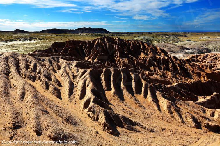 Petrified Forest National Park,Arizona,USA