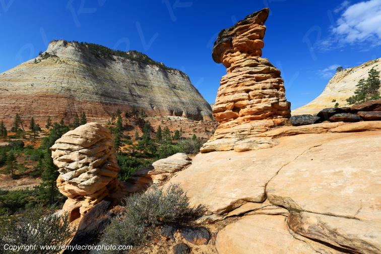 Mount Carmel Highway Zion National Park Utah USA