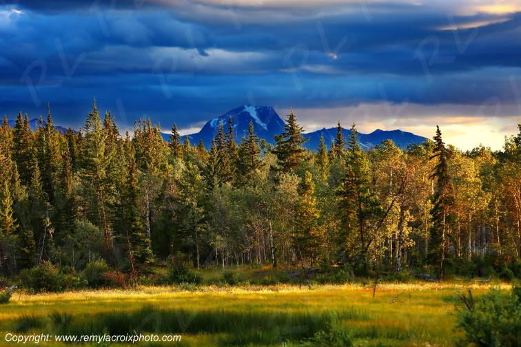 Eagle Lake British Columbia Canada www.remylacroixphoto.com #eagle #eaglelake #britishcolumbia #canada